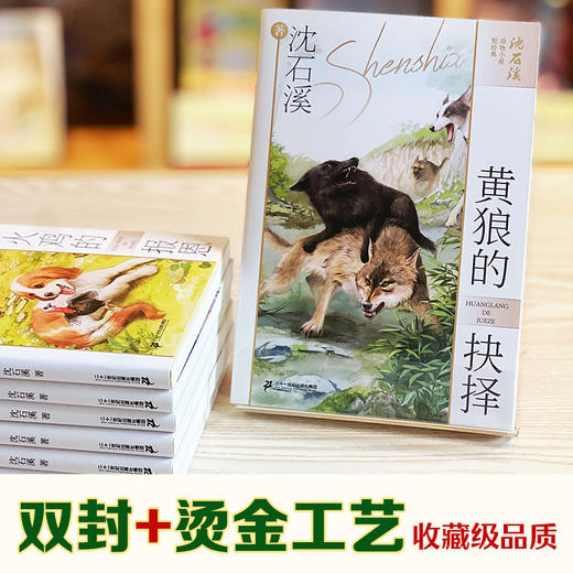 沈石溪动物小说短经典（共6册） 懒猴的秘密/列鸟/灰鹅一家/杜鹃筑巢/黄狼的抉择/小火鸡的报恩 商品图5