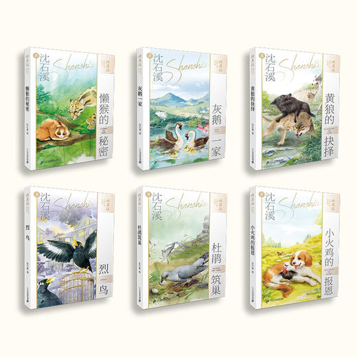 沈石溪动物小说短经典（共6册） 懒猴的秘密/列鸟/灰鹅一家/杜鹃筑巢/黄狼的抉择/小火鸡的报恩 商品图2
