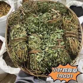 鸡骨草 当季新货 农家自采中药材