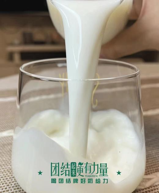 团结牌有机纯驼乳粉 商品图11