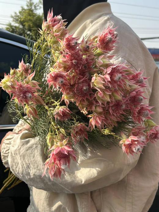 同城甄选精品花材新娘花鲜切花一扎 商品图5