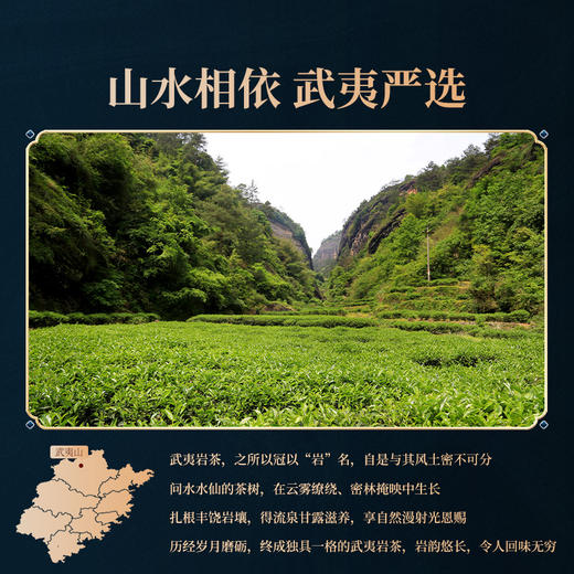 【问水】岩语问水水仙礼盒装 特级武夷岩茶中足火乌龙茶袋泡装204g 商品图4