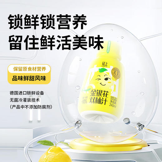 轻金银花双柚汁0添加饮品整箱 245ml*10瓶 清润不上火酸甜花果汁 商品图4