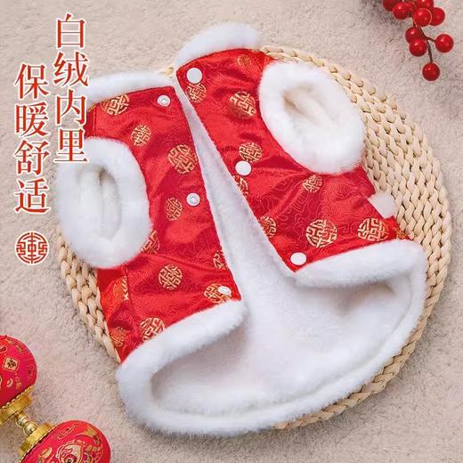 猫咪衣服德文卷毛无毛猫银渐层秋冬季防掉毛保暖狗狗过年喜庆唐装 商品图4