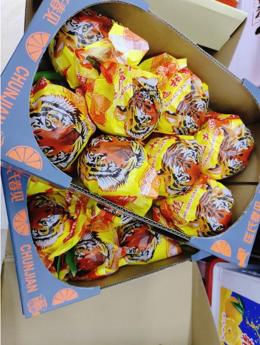 匡氏春见丑橘一箱 商品图2