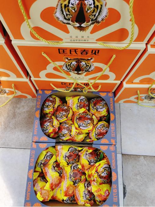 匡氏春见丑橘一箱 商品图1