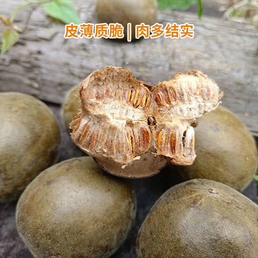 生态罗汉果250g/袋 商品图5