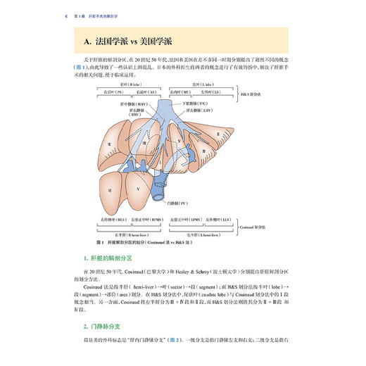 肝脏外科手术技巧 宋天强 张彤主编 临床实践经验手术技巧 肝脏手术的解剖学 肝脏切除术的术前准备 9787117369404人民卫生出版社 商品图4