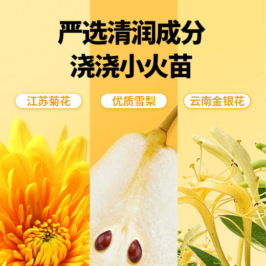 轻金银花双柚汁0添加饮品整箱 245ml*10瓶 清润不上火酸甜花果汁 商品图6