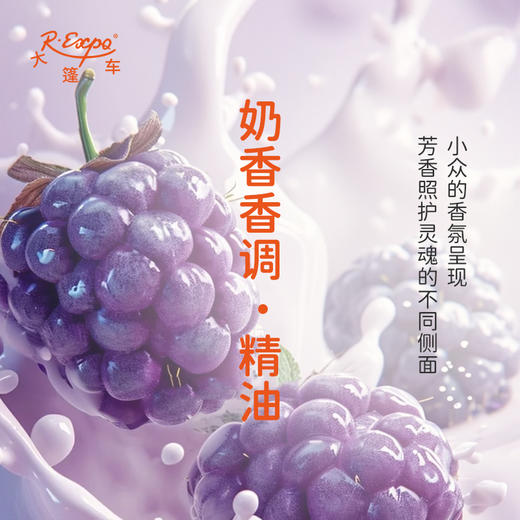 奶香香调·精油 香氛香调精油适用香水油护肤品护体香 大篷车精油 商品图0