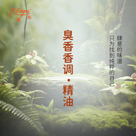 臭香香调·精油 香氛香调精油适用香水油护肤品护体香 大篷车精油 商品图1