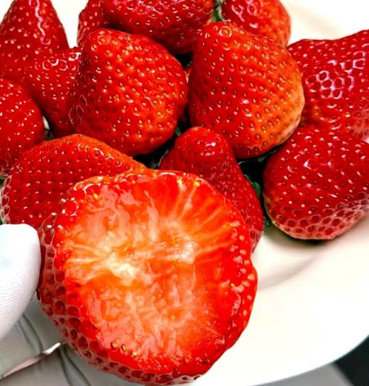丹东奶香草莓（约400g/盒） 商品图0