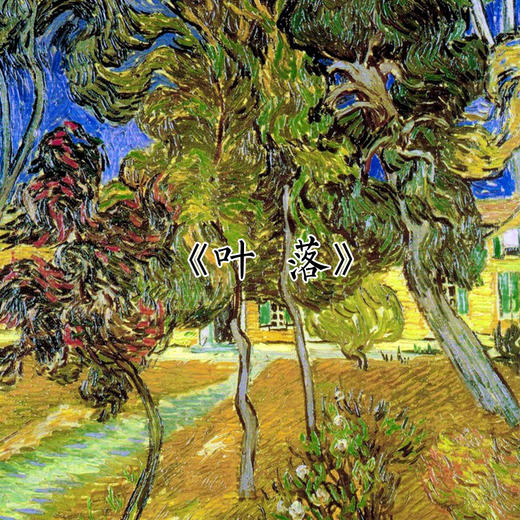 【伯妮斯茵】161F328--黑色衬衫--叶落--《生命之美-梵高的花园》 商品图9