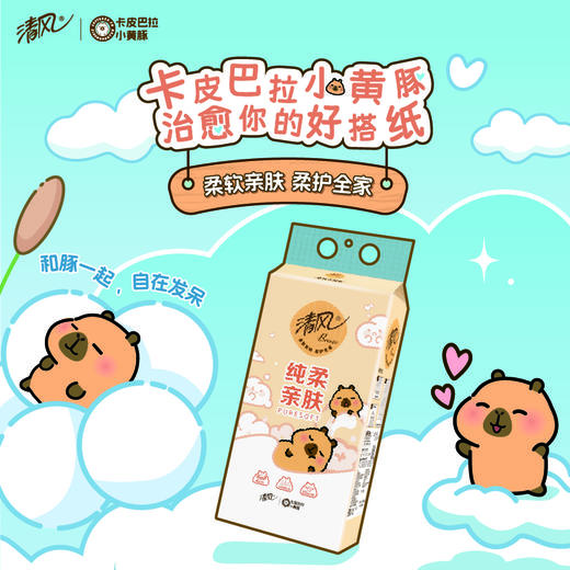 【官方自营】清风挂抽4层250抽10提送挂钩卡皮巴拉小黄豚联名款 商品图5