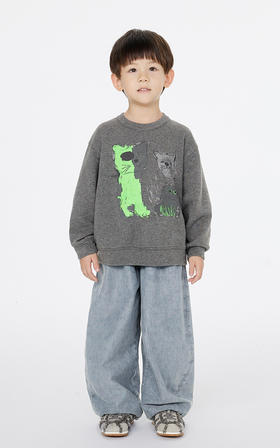 jnby  25年春款  套头卫衣   1P1412850