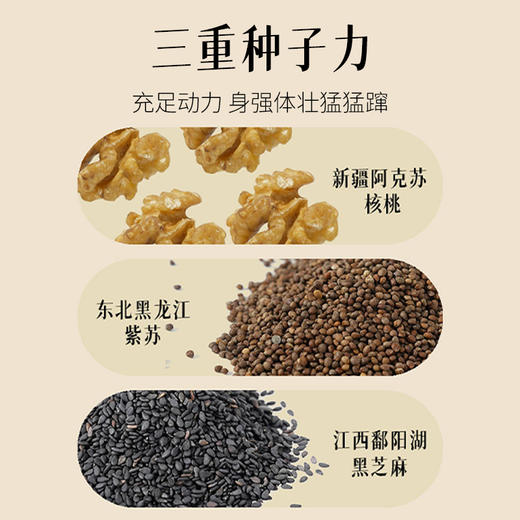 【杏林方记】紫苏核桃芝麻饼 商品图1