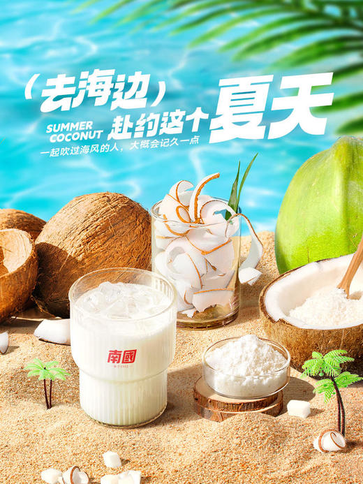 海南特产 南国纯椰子粉 生椰鲜萃  专利工艺  不加白砂糖  无色素  无防腐剂  无反式脂肪酸 商品图7