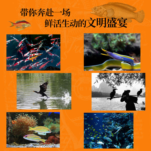 鱼宴：人类生存进化史 国家地理学会、《大英百科全书》专业顾问力作，89张珍贵插图，看吃鱼如何改变世界 商品图1