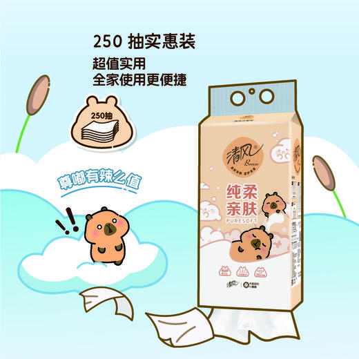 【官方自营】清风挂抽4层250抽10提送挂钩卡皮巴拉小黄豚联名款 商品图2