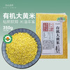 新鲜有机大黄米350g 黏糯五谷杂粮米饭伴侣搭配熬粥 商品缩略图0