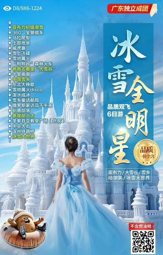 东北冰雪全明星 商品图0