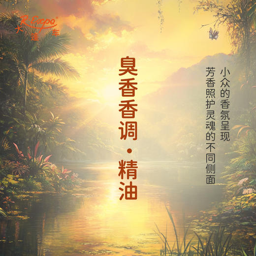 臭香香调·精油 香氛香调精油适用香水油护肤品护体香 大篷车精油 商品图0