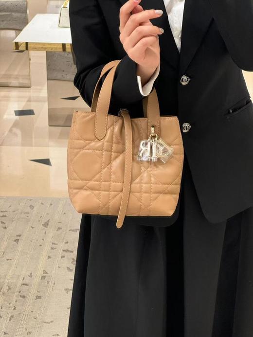 迪奥25早春新品Toujours竖版手袋（HH） 商品图11