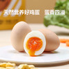【宝石花专享】高硒叶黄素鸡蛋1500g-30枚装 商品缩略图3