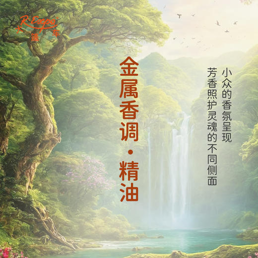 金属香调·精油 香氛香调精油适用香水油护肤品护体香 大篷车精油 商品图0