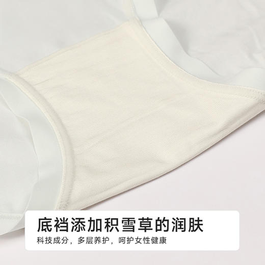 都市丽人纯棉100支棉舒肤棉双百系列平角裤LKH5B5 商品图8