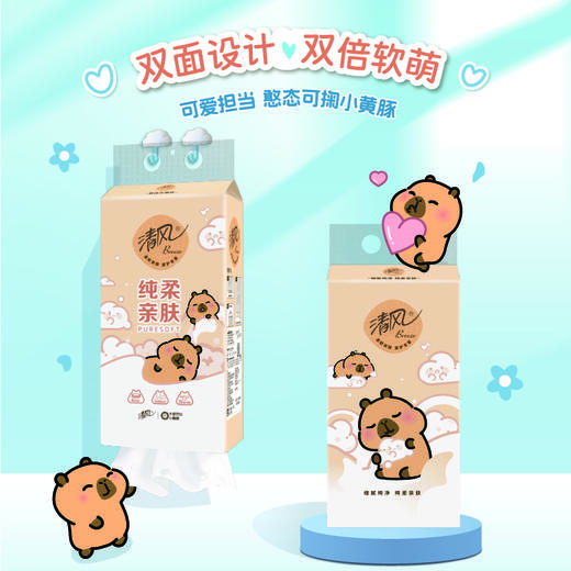 【官方自营】清风挂抽4层250抽10提送挂钩卡皮巴拉小黄豚联名款 商品图1