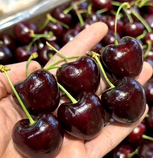 智利桑缇娜2JDD车厘子 | 进口水果 商品图0