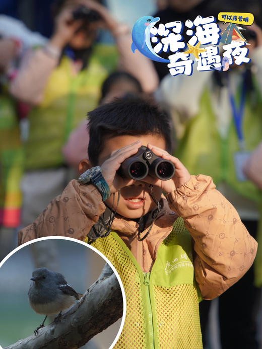 广州海洋馆【夜间露营研学】深海奇遇夜，探秘海洋生物的“夜生活”，动物园飞鸟寻踪！ 商品图6