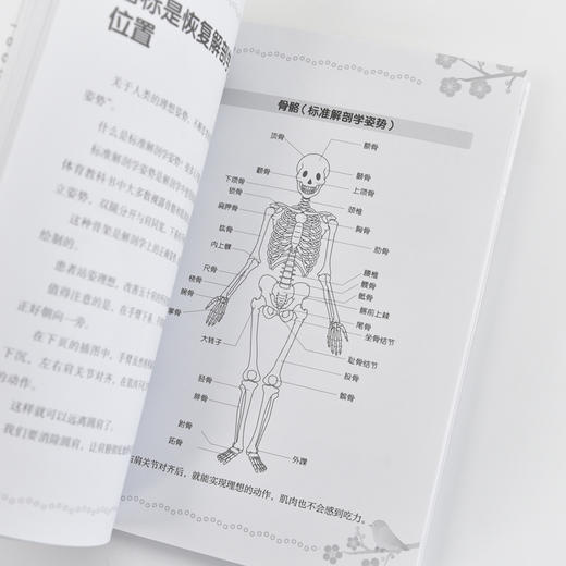 肩周炎自救指南 告别肩膀僵硬与疼痛 五十肩康复手册 商品图3