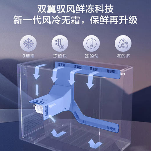 海尔（Haier）冰柜商用大容量风冷无霜-38度超低温480升冷冻柜冷藏柜速冻柜BC/BD-480WGHEC以旧换新补贴 商品图5