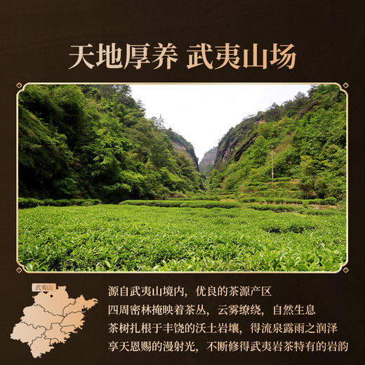 【问水】岩语问水肉桂礼盒装 特级武夷岩茶中足火乌龙茶袋泡装204g 商品图3