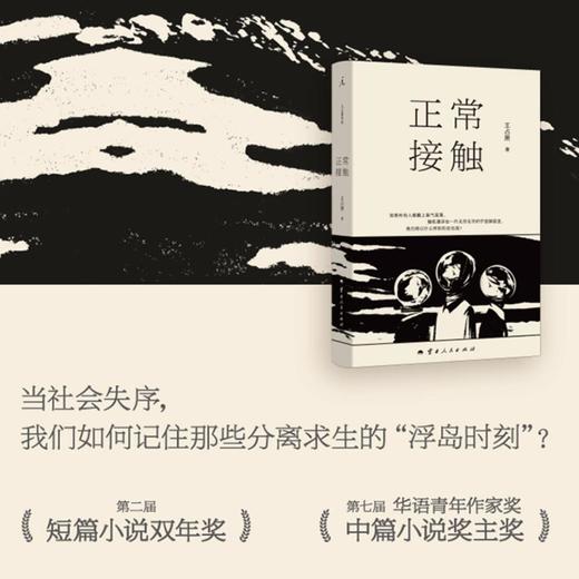 王占黑《正常接触》 商品图2