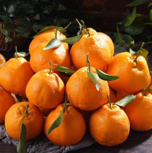 【99元三件套A】 库尔勒香梨礼盒+春见耙耙柑红色礼盒+王老吉凉茶（绿盒）1箱 商品图1