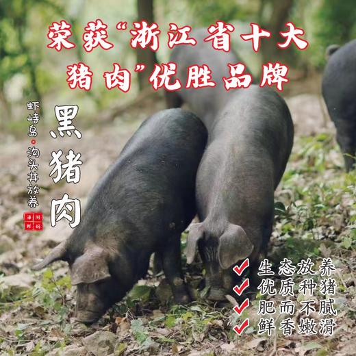 【闹妈】舟山虾峙沟头井海岛生态放养土猪肉 不包邮 商品图0