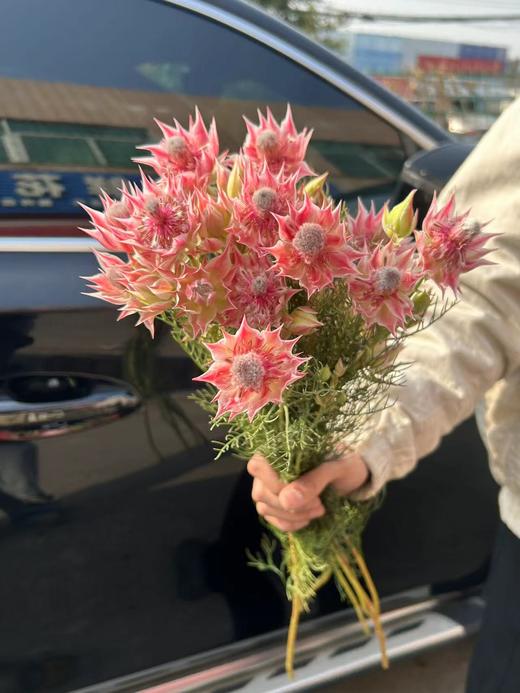 同城甄选精品花材新娘花鲜切花一扎 商品图6