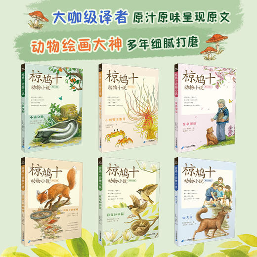 椋鸠十动物小说（美绘注音版） 商品图2