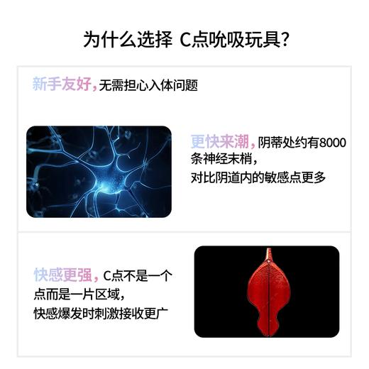 ZALO Lia紫紫吸口红吮吸高潮不插入女生成人玩具自慰器女性情趣女用品 商品图3