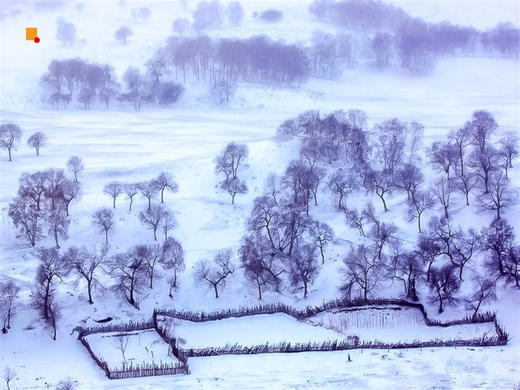 元旦3日【锡林郭勒·多伦湖冬捕】｜越野车深入草原无人区-元上都遗址-汇宗寺 商品图2