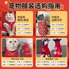 猫咪衣服德文卷毛无毛猫银渐层秋冬季防掉毛保暖狗狗过年喜庆唐装 商品缩略图1