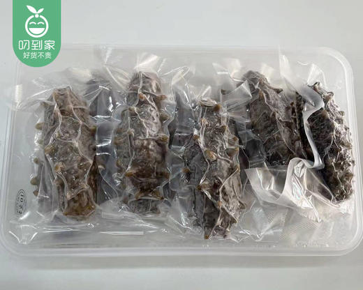 辽宁海参大礼包（杀好）/1盒（10只，共450-500g）+1瓶白灼汁生产日期：25年12月 商品图3