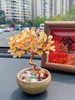 【家居百货】财运Up❗富婆快来接‼黄水晶发财树💸💸事业双双收💼办公桌的“小黄金” 商品缩略图6