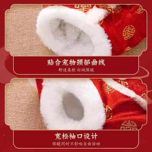 猫咪衣服德文卷毛无毛猫银渐层秋冬季防掉毛保暖狗狗过年喜庆唐装 商品图3