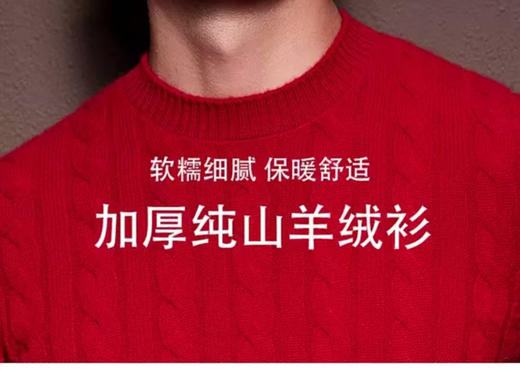 【男装】圆领织麻花纹山羊绒长袖衫 9613020001 商品图2