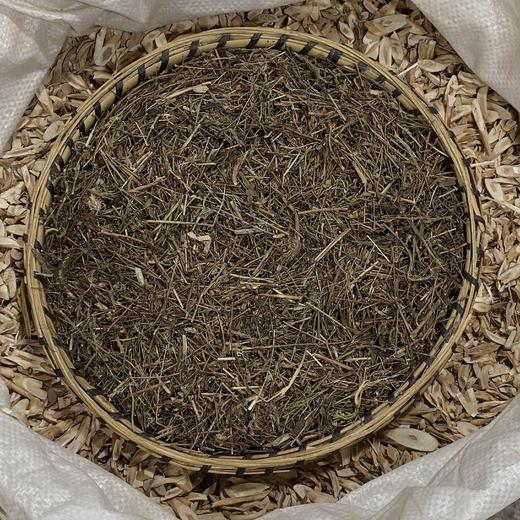 田基黄 地耳草 黄花草雀舌草 新鲜自然 商品图2