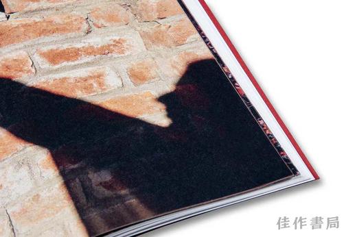 Pleasure Gardens: Blackouts and the Logic of Crisis in Kashmir / 欢乐园：克什米尔的停电与危机逻辑 商品图2